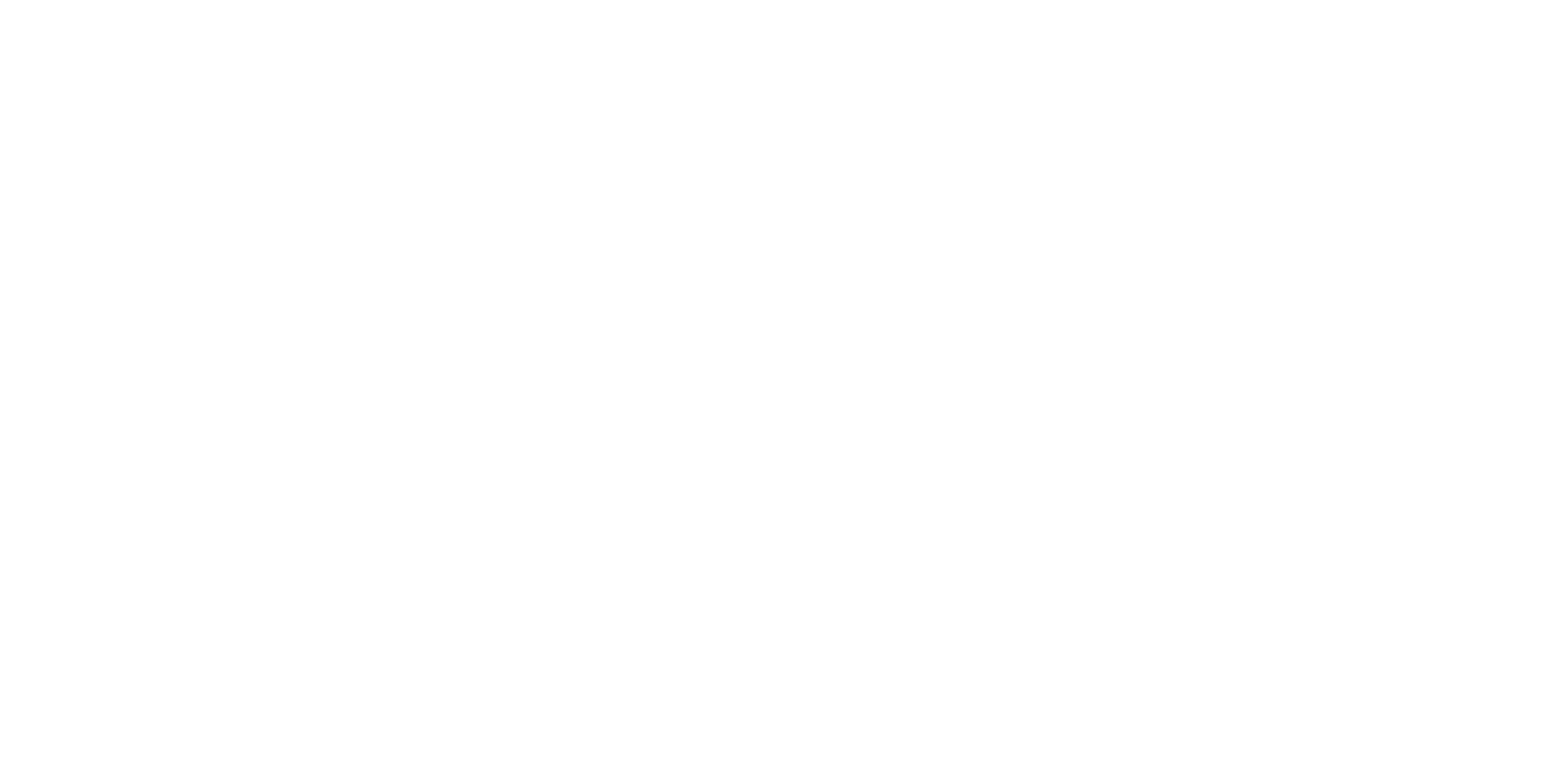 Raceplast